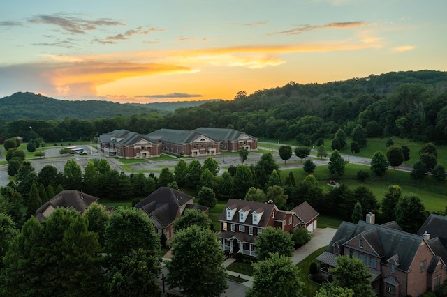 109 Bayhill Cir, Franklin, TN 37067 - photo 66