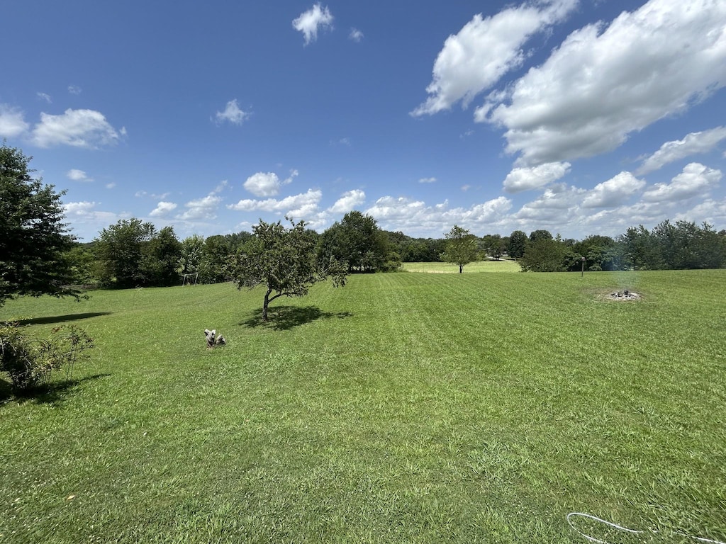 5208 Drake Rd, Cedar Hill, TN 37032 - view of grassy yard featuring a rural view