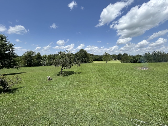 5208 Drake Rd, Cedar Hill, TN 37032 - view of grassy yard featuring a rural view