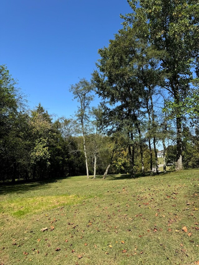 58 Oak Valley Dr, Spring Hill, TN 37174 - photo 41