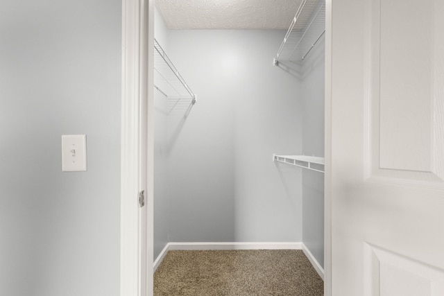 1020 Loganview Way, Springfield, TN 37172 - photo 21