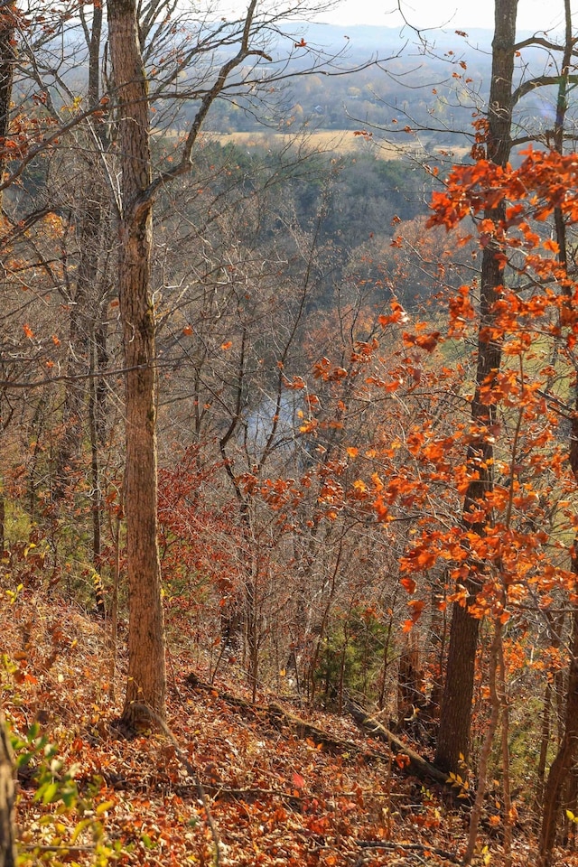 2064 Hillsboro Rd, Franklin, TN 37069 - photo 2
