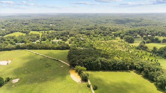 2006 Goodrich Rd, Nunnelly, TN 37137 - overview of rural landscape featuring a heavily wooded area