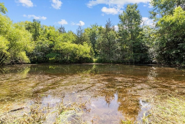 2006 Goodrich Rd, Nunnelly, TN 37137 - water view featuring a forest