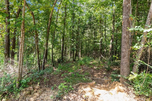 2006 Goodrich Rd, Nunnelly, TN 37137 - view of tree filled area