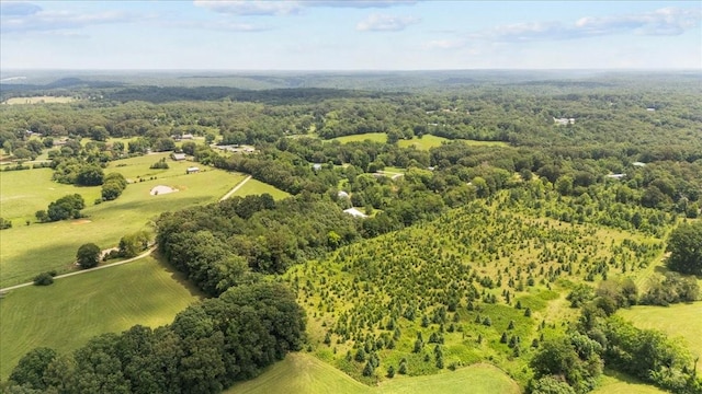 2006 Goodrich Rd, Nunnelly, TN 37137 - bird's eye view of a heavily wooded area