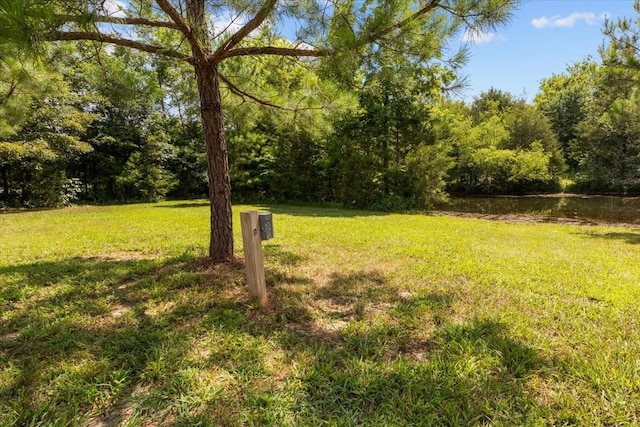 2006 Goodrich Rd, Nunnelly, TN 37137 - view of green lawn featuring a wooded view