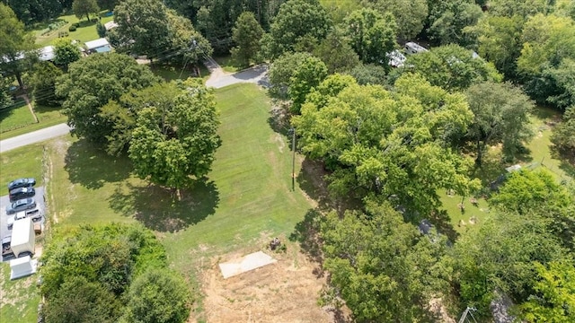 2006 Goodrich Rd, Nunnelly, TN 37137 - aerial view of property and surrounding area