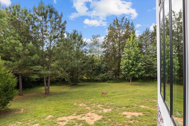 2006 Goodrich Rd, Nunnelly, TN 37137 - view of grassy yard