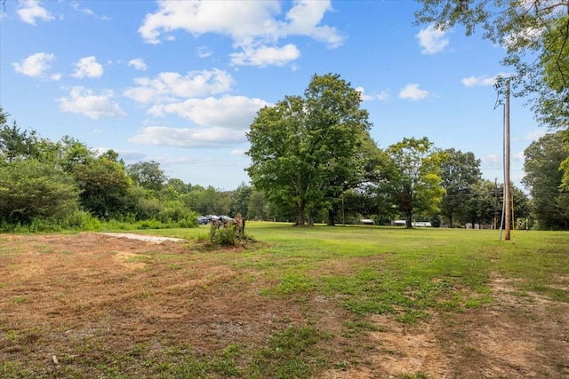 2006 Goodrich Rd, Nunnelly, TN 37137 - view of green lawn