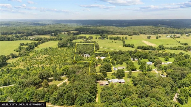 2006 Goodrich Rd, Nunnelly, TN 37137 - aerial view of property and surrounding area featuring property parcel outlined and a heavily wooded area