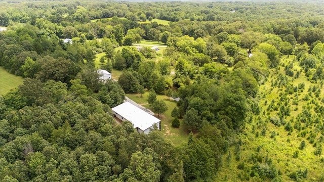 2006 Goodrich Rd, Nunnelly, TN 37137 - bird's eye view of a forest