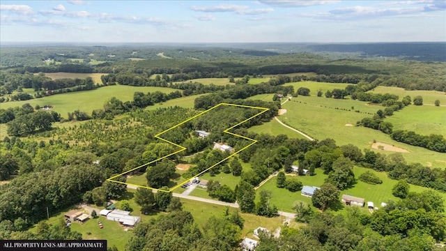 2006 Goodrich Rd, Nunnelly, TN 37137 - aerial view of sparsely populated area featuring property boundaries highlighted
