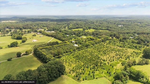 2006 Goodrich Rd, Nunnelly, TN 37137 - aerial view of property and surrounding area with a forest and property parcel outlined