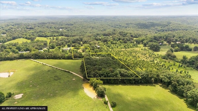 2006 Goodrich Rd, Nunnelly, TN 37137 - overview of rural landscape featuring a heavily wooded area and property parcel outlined