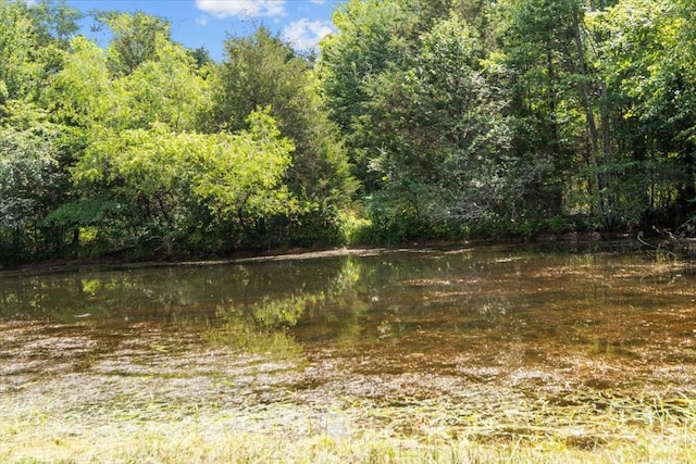 2006 Goodrich Rd, Nunnelly, TN 37137 - view of wooded area featuring a water view