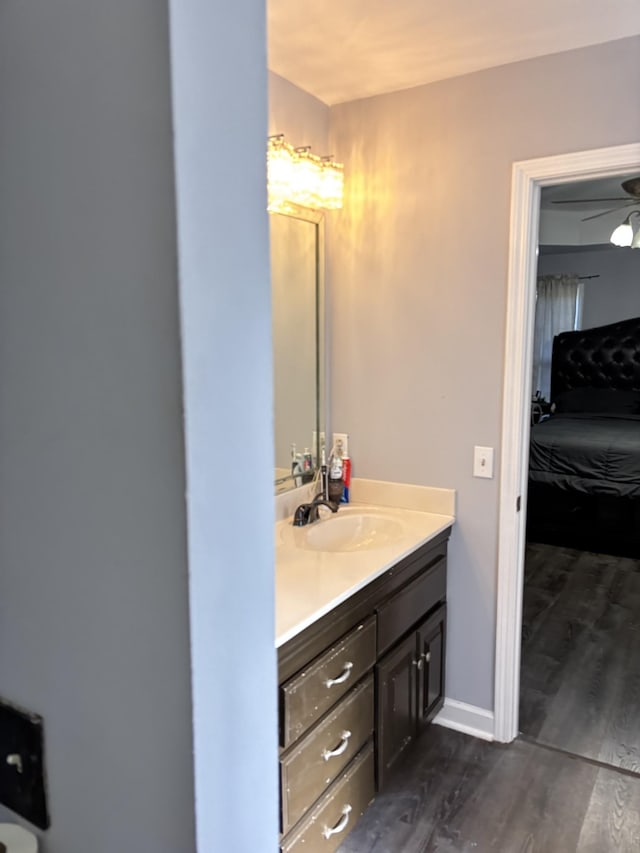 809 Renaissance Ave, Murfreesboro, TN 37129 - bathroom featuring vanity, ensuite bathroom, and wood finished floors