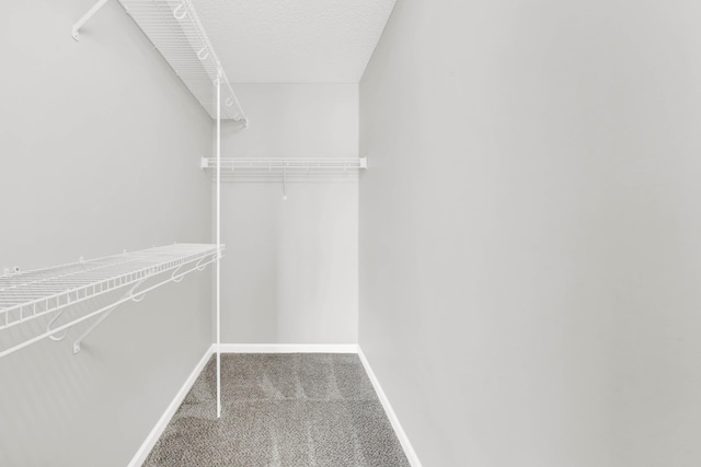1373 Mackenzie Ct, Clarksville, TN 37042 - walk in closet featuring carpet floors