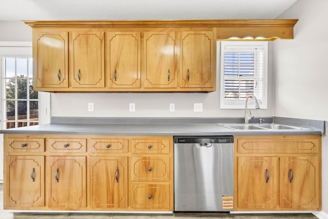 1373 Mackenzie Ct, Clarksville, TN 37042 - kitchen with stainless steel dishwasher, healthy amount of natural light, a textured ceiling, and light countertops