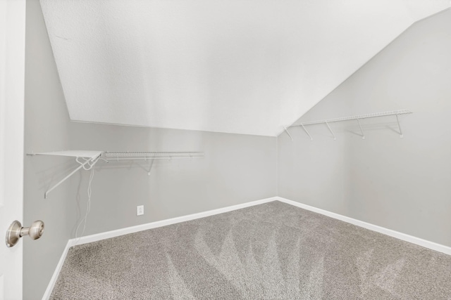 1373 Mackenzie Ct, Clarksville, TN 37042 - walk in closet featuring carpet floors and vaulted ceiling