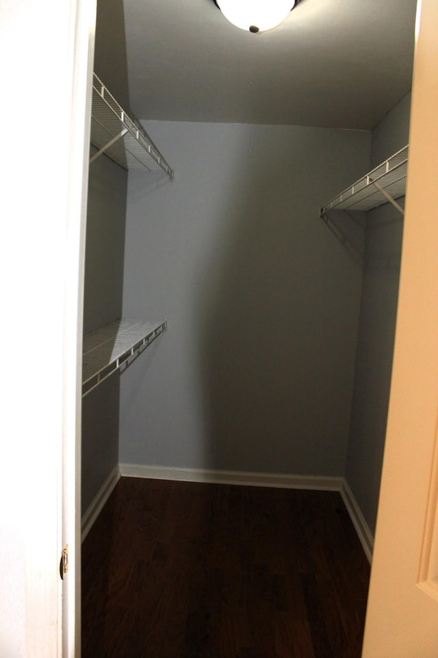 109 Hunter Dr, Mount Juliet, TN 37122 - spacious closet featuring dark wood-style floors