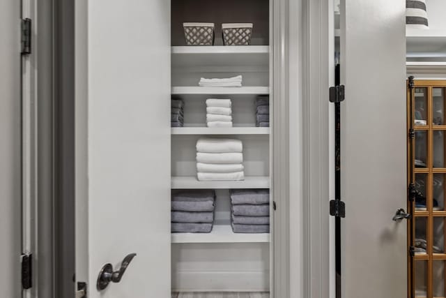 320 Liberty Pike Unit 205, Franklin, TN 37064 - view of closet