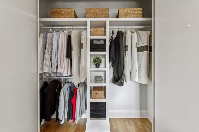 320 Liberty Pike Unit 205, Franklin, TN 37064 - view of closet