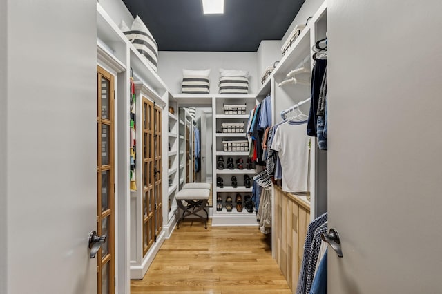 320 Liberty Pike Unit 205, Franklin, TN 37064 - spacious closet with light wood-type flooring