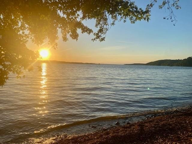 3205 Rocky Point Ln, Stewart, TN 37175 - water view