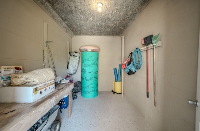 3205 Rocky Point Ln, Stewart, TN 37175 - miscellaneous room featuring concrete block wall and speckle patterned floor