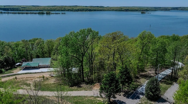 3205 Rocky Point Ln, Stewart, TN 37175 - water view with a heavily wooded area