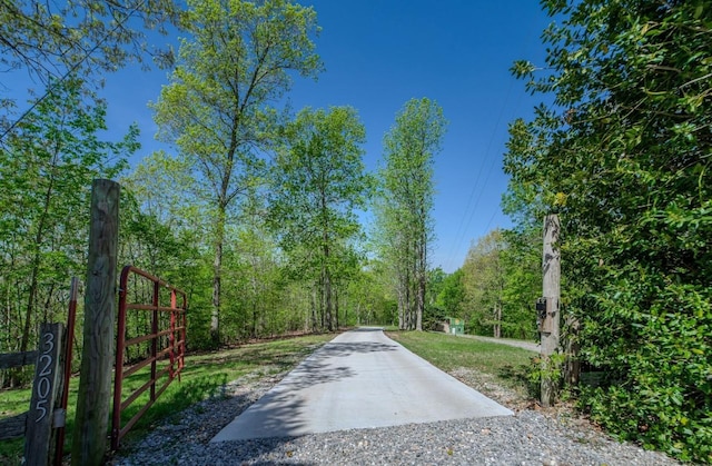 3205 Rocky Point Ln, Stewart, TN 37175 - view of road