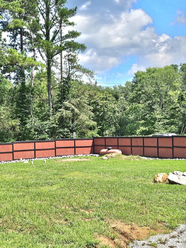 916 Britton Springs Rd, Clarksville, TN 37042 - photo 8