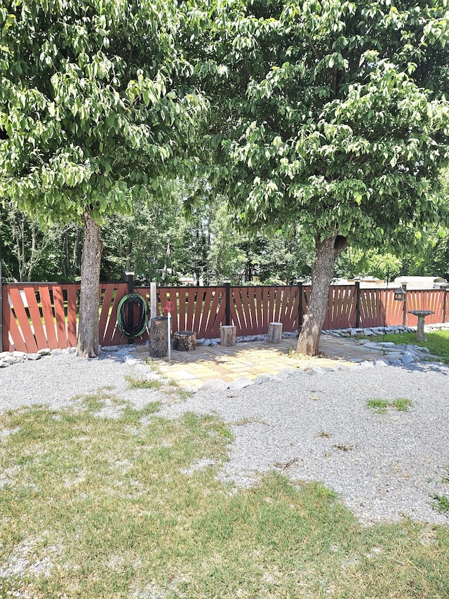 916 Britton Springs Rd, Clarksville, TN 37042 - photo 5