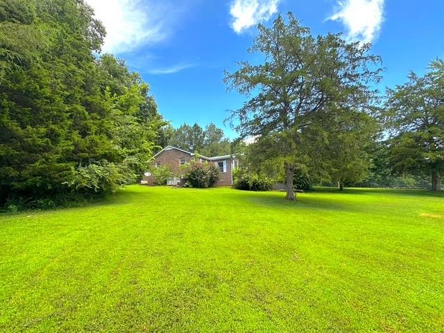 104 Tobaccoport Dock Rd, Bumpus Mills, TN 37028 - view of grassy yard