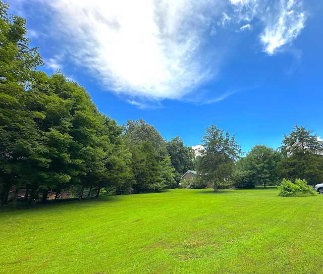 104 Tobaccoport Dock Rd, Bumpus Mills, TN 37028 - view of grassy yard