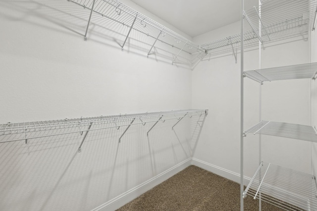 145 Irish Hls, Clarksville, TN 37042 - spacious closet with carpet flooring