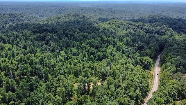 0 Buckfork Rd, Linden, TN 37096