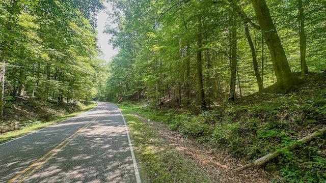 0 Buckfork Rd, Linden, TN 37096