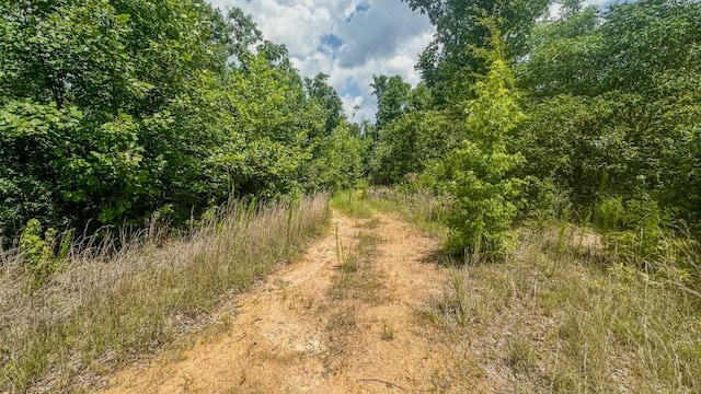 0 Buckfork Rd, Linden, TN 37096