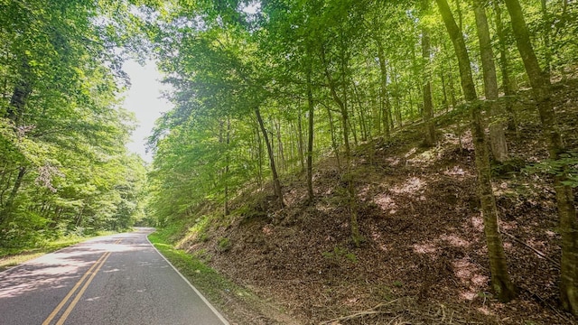 0 Buckfork Rd, Linden, TN 37096