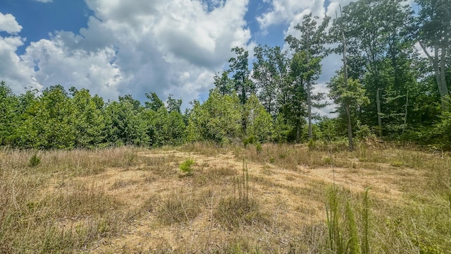 0 Buckfork Rd, Linden, TN 37096
