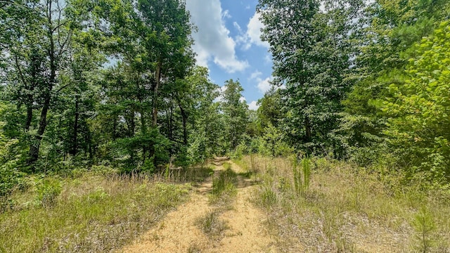 0 Buckfork Rd, Linden, TN 37096