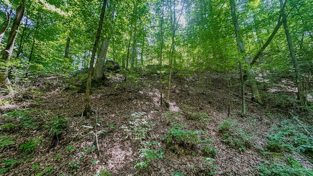 0 Buckfork Rd, Linden, TN 37096