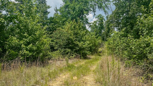 0 Buckfork Rd, Linden, TN 37096
