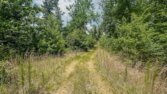 0 Buckfork Rd, Linden, TN 37096