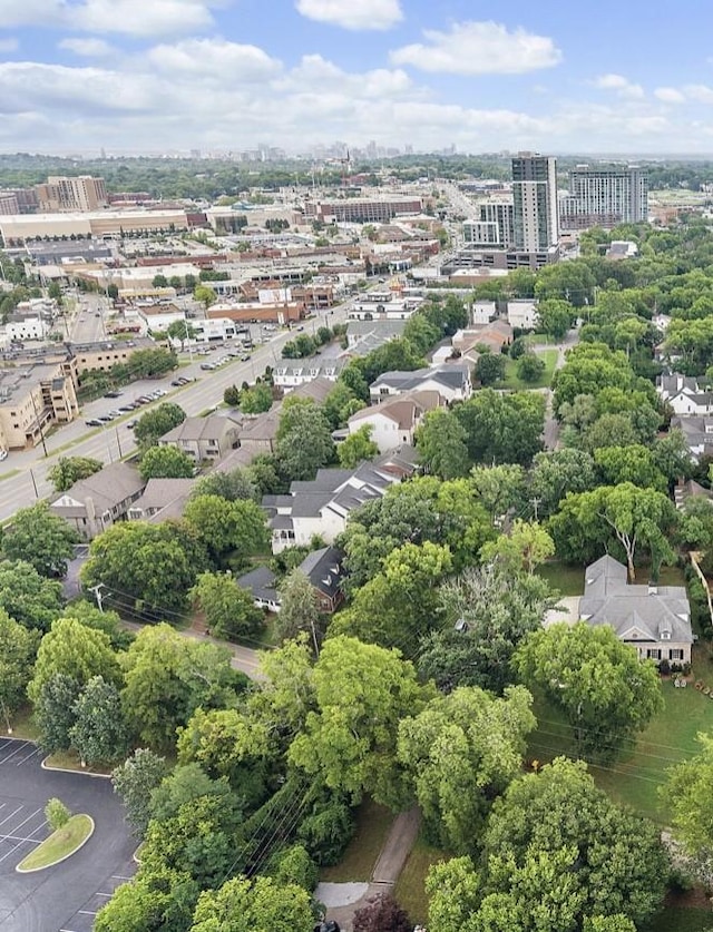 4220 Kirtland Rd, Nashville, TN 37215 - view of urban area