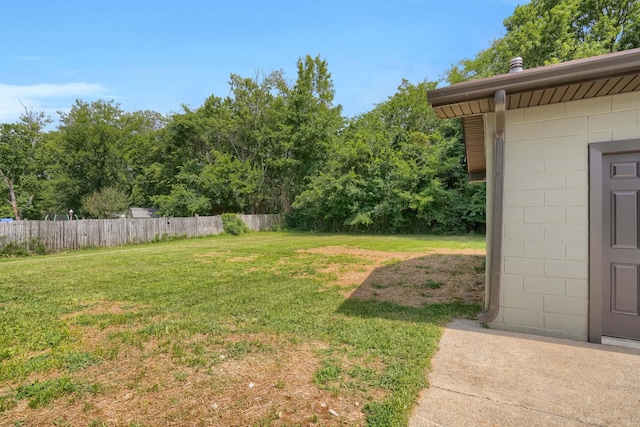 306 Forrest St, Watertown, TN 37184 - view of yard