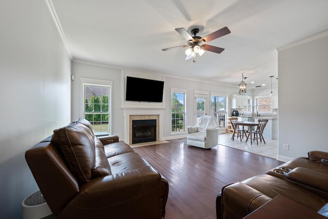 312 Retriever Ct, Clarksville, TN 37043 - living room featuring crown molding, plenty of natural light, ceiling fan, a fireplace with flush hearth, and light wood-style flooring