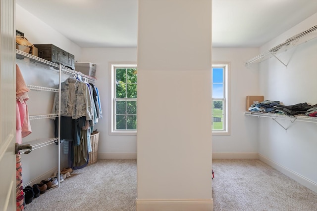 312 Retriever Ct, Clarksville, TN 37043 - spacious closet with carpet floors